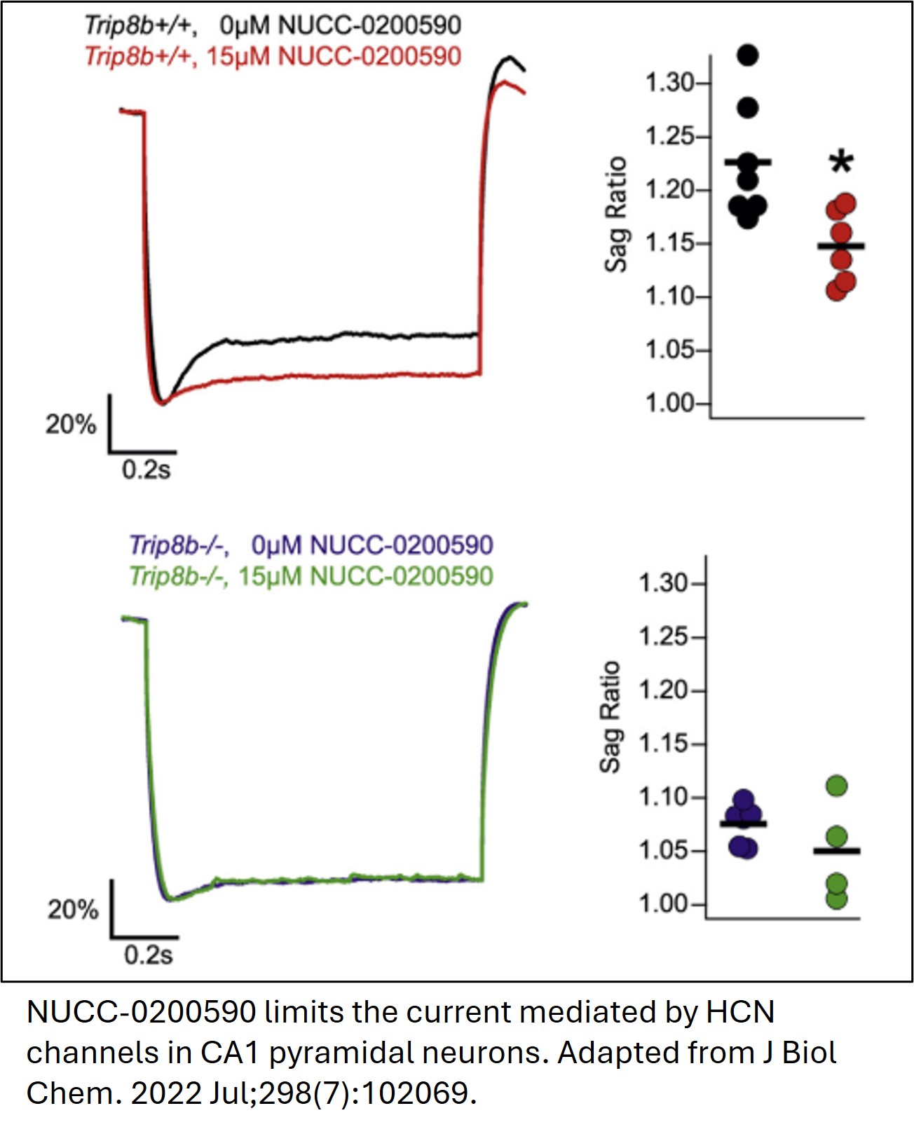 NUCC-0200590 limits the current mediated by HCN channels in CA1 pyramidal neurons. 