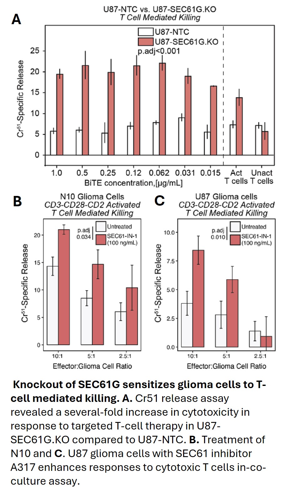  Knockout of SEC61G sensitizes glioma cells to T-cell mediated killing. A. Cr51 release assay revealed a several-fold increase in cytotoxicity in response to targeted T-cell therapy in U87-SEC61G.KO compared to U87-NTC. B. Treatment of N10 and C. U87 glioma cells with SEC61 inhibitor A317 enhances responses to cytotoxic T cells in-co-culture assay.