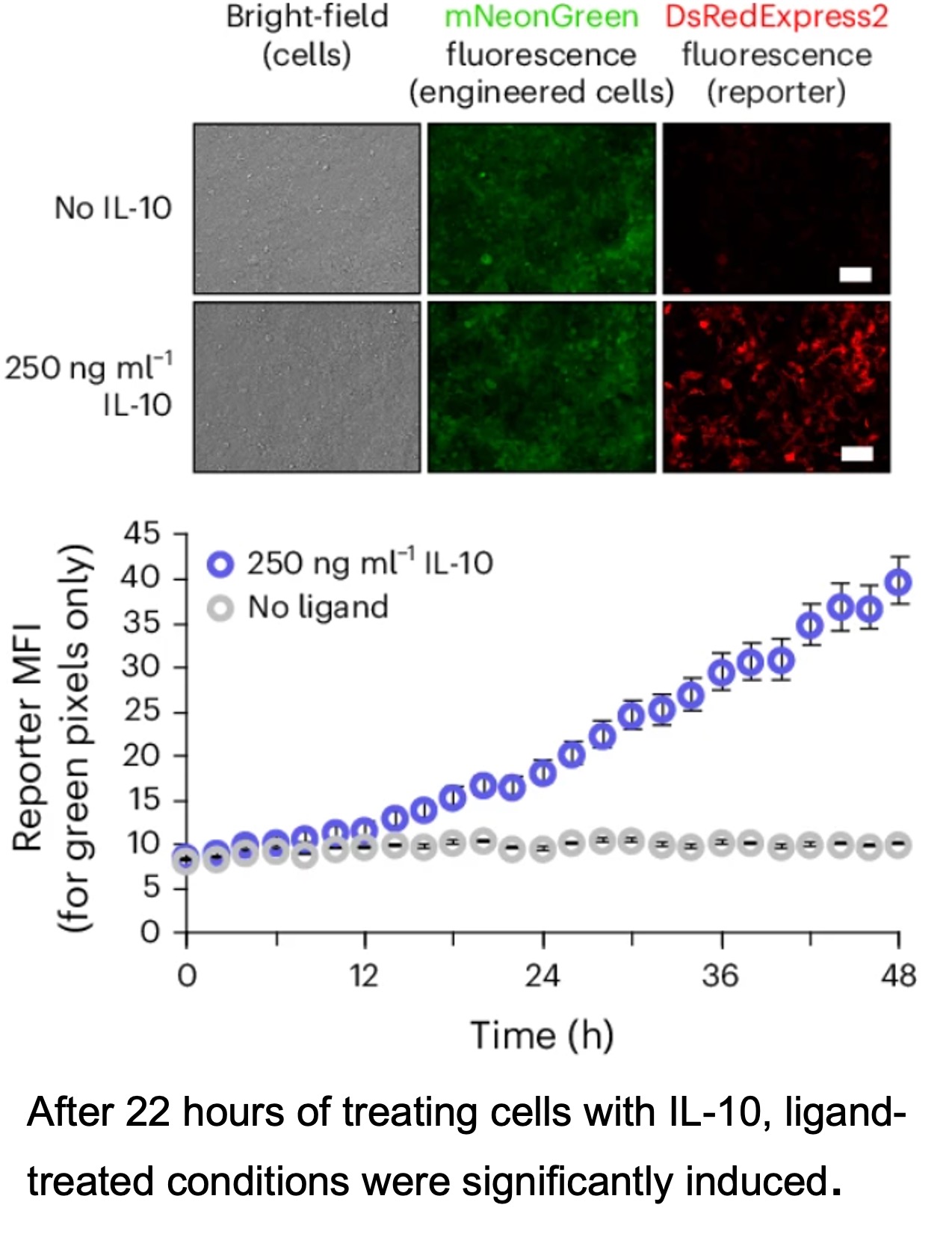 After 22 hours of treating cells with IL-10, ligand-treated conditions were significantly induced.